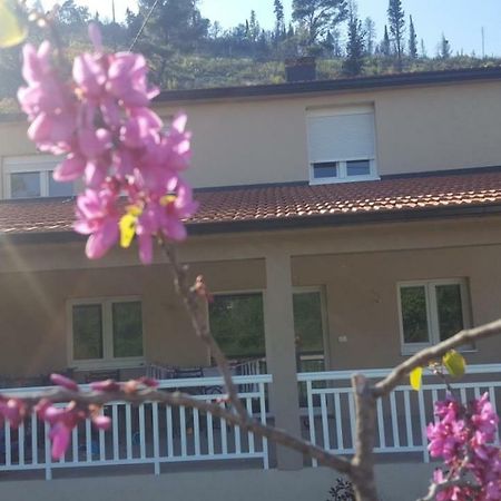 Apartment Marta Čapljina Esterno foto